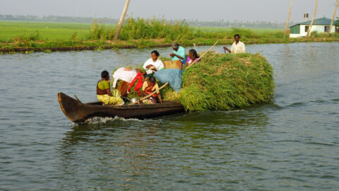 Heuschiff Backwaters