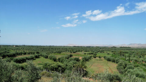 Weite Landschaft in Marokko