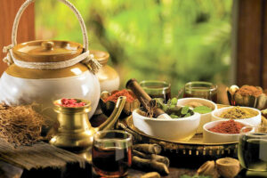 Ayurveda Kraeuter