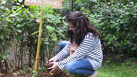 Women Travel Baum in Kerala