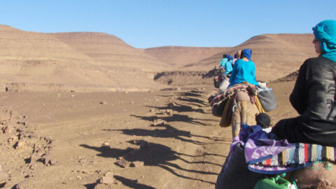 Marokko Kameltrekking