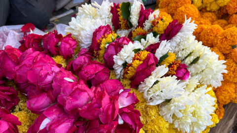 Jaipur Blumenmarkt