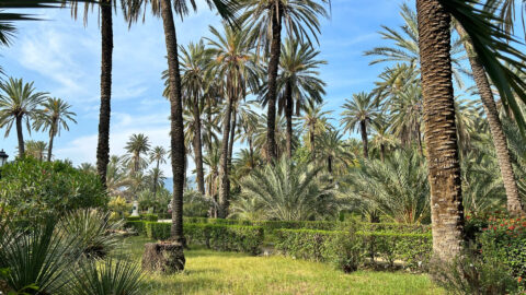 Palermo Park Bild: © Women Travel