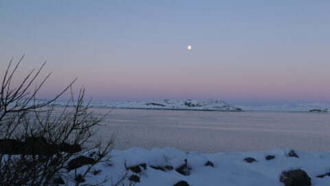 Island Sonne im Winter