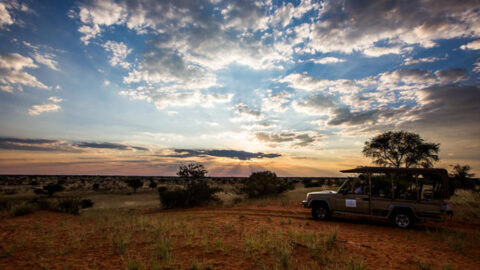 Namibia Safari Fahrzeug