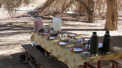 Namibia Pic-Nic